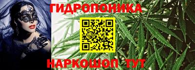 шишки Кунгур