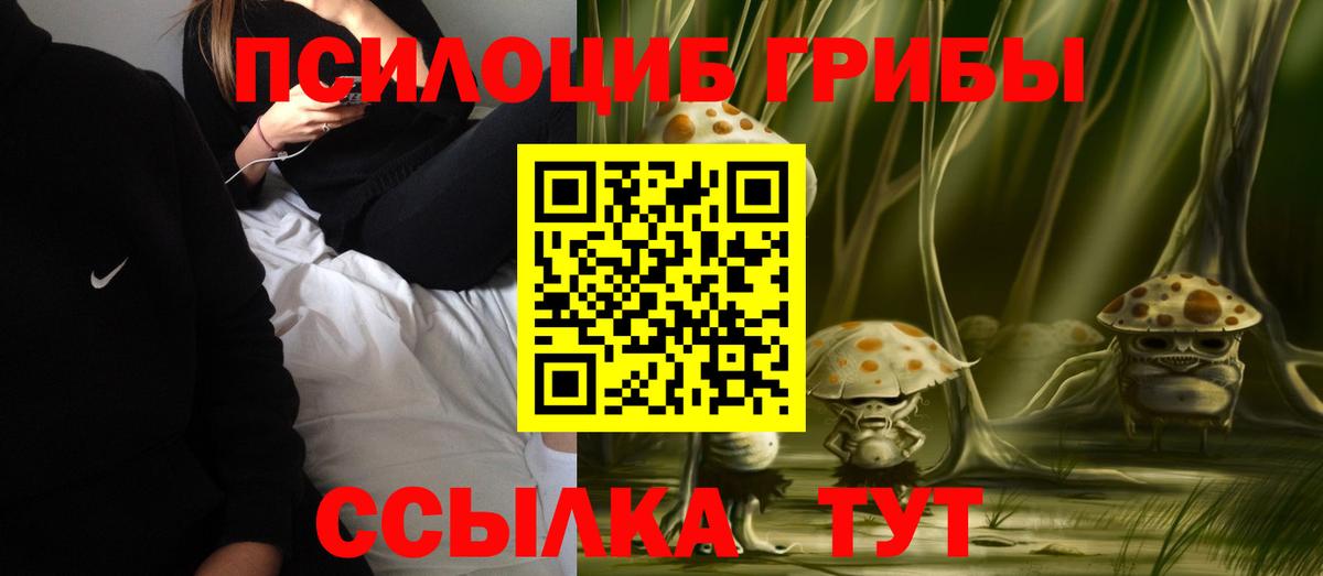 Дедовск  Галлюциногенные грибы Magic Shrooms  Вход с VPN  Псилоцибиновые грибы Psilocybine cubensis 